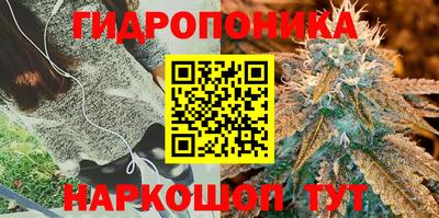 трава Гусиноозёрск