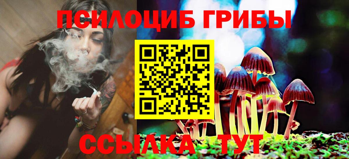 Галлюциногенные грибы Magic Shrooms  Вход с VPN  Елец 